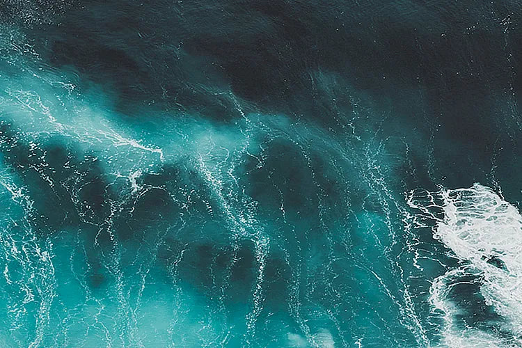 Aquatic