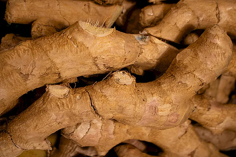 Ginger