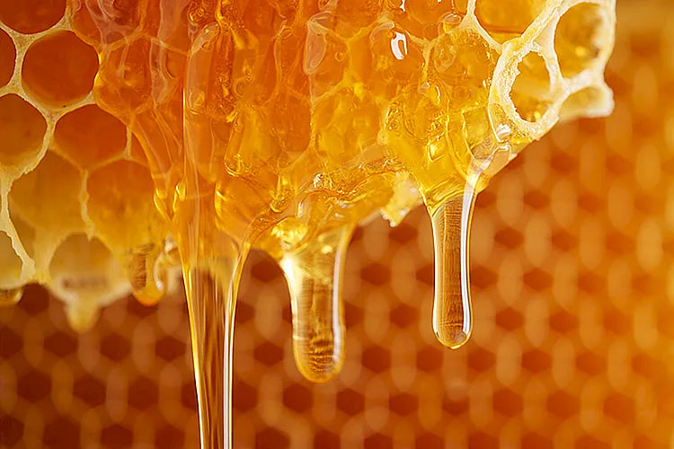 Honey