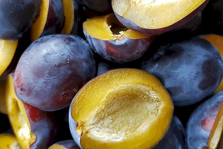 Plum