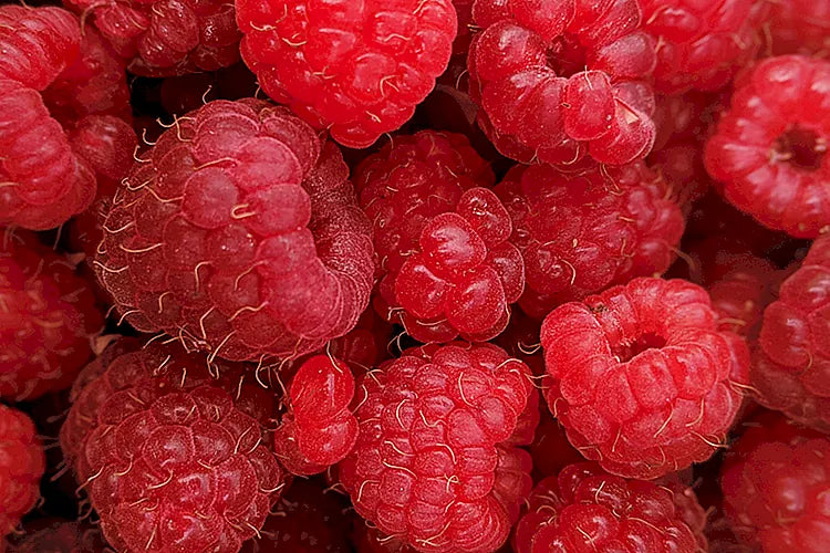 Raspberry