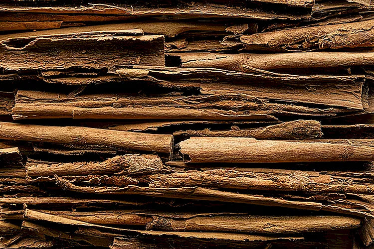TOBACCO