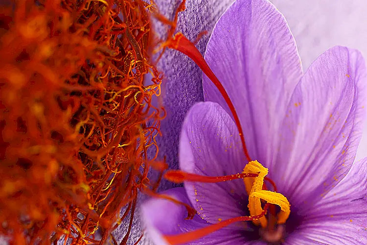 Saffron