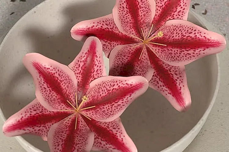 Star_fruit